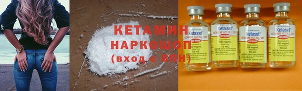 гидра Михайловка