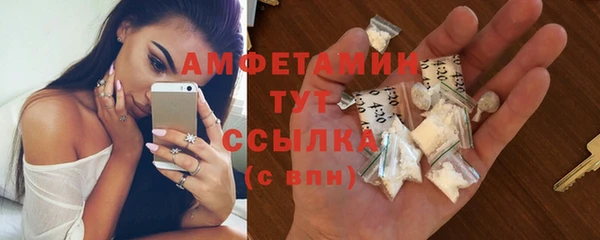 гидра Михайловка