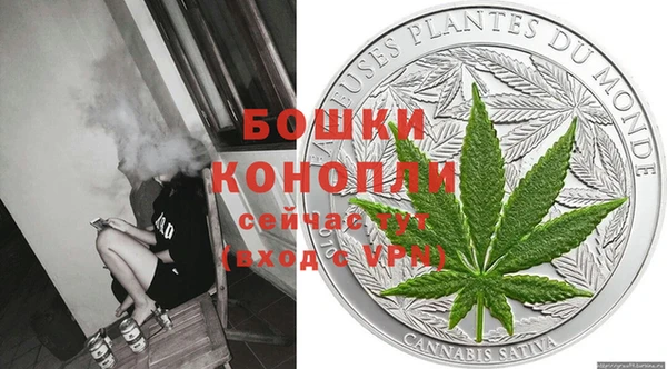 гидра Михайловка