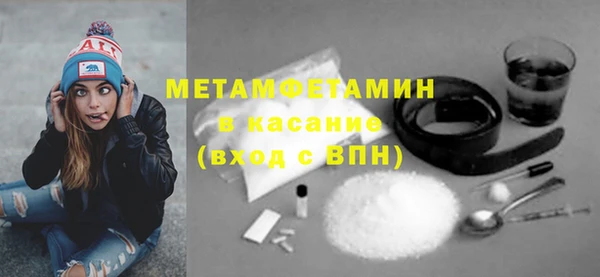 гидра Михайловка