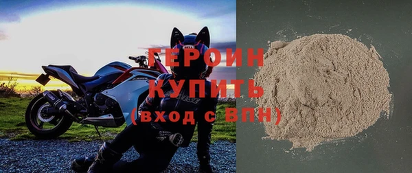 гидра Михайловка