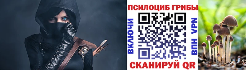 Галлюциногенные грибы Psilocybine cubensis  Фокино 