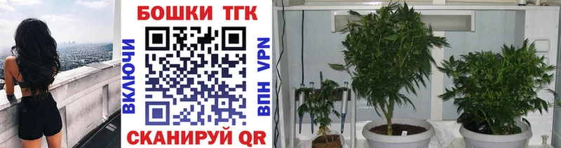 купить   Фокино  Бошки марихуана тримм 